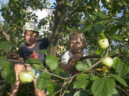 ����, ����, ������ 2007�.