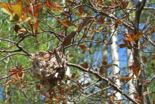 ���������� ��������� � ������ ������ ��������