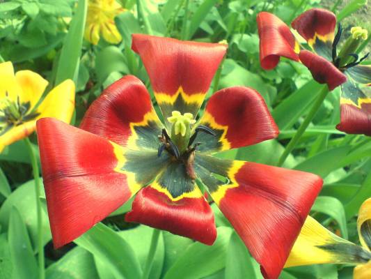 �������� � ����� :)