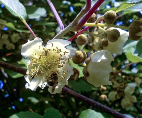 � ��� ������ ����!