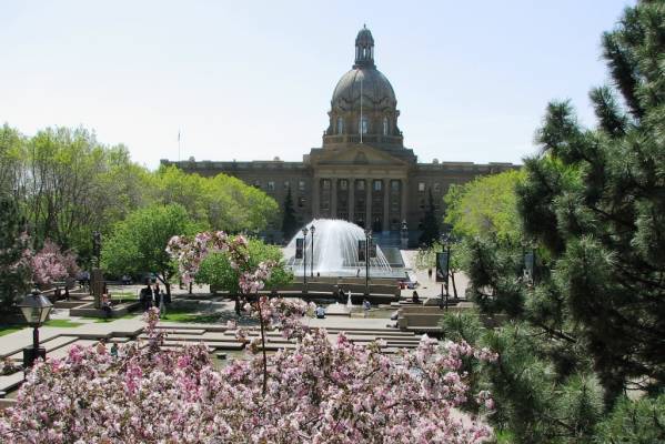 ������ ������������ �.��������