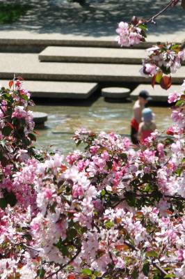 ����� ����!