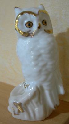 ���� (������), �����