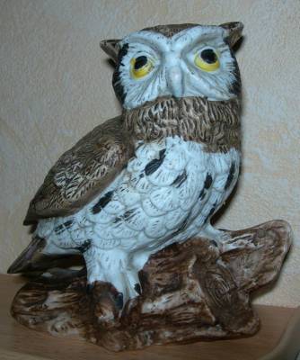 ���� (������), ��������