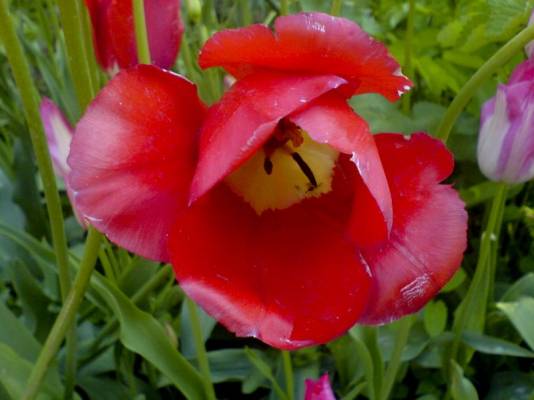 �������