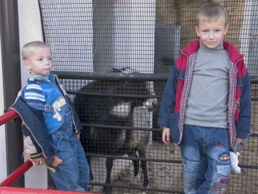 ����, ����, �������� 2007�.