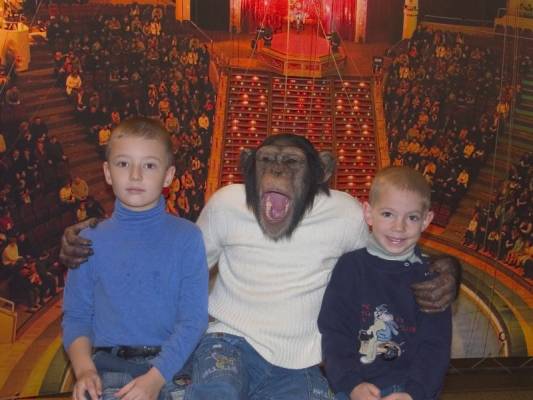 ����, ����, ������ 2007�.