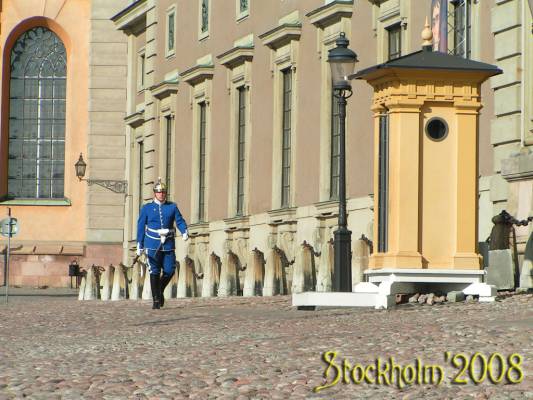 �������� ������ �� �����!