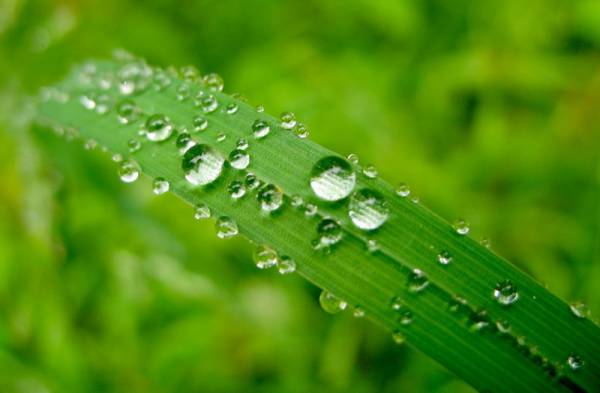 �������� 2