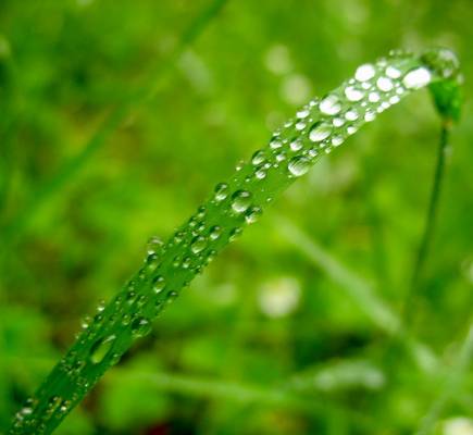 �������� 1