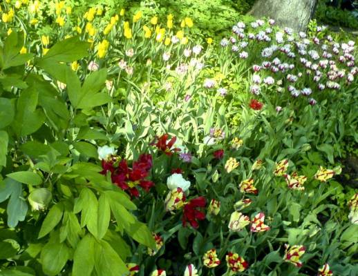 �������