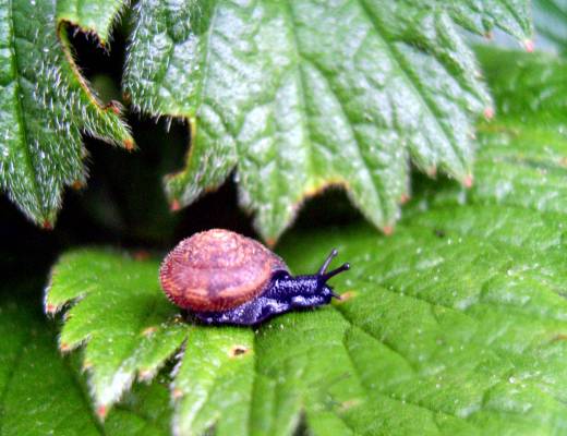 ��������� ����������