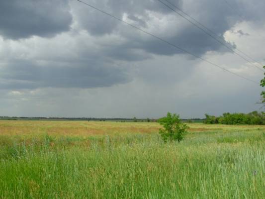 ������������� �����