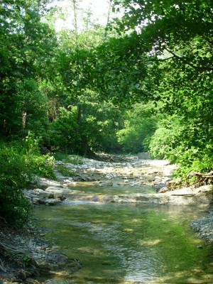 ���� ����