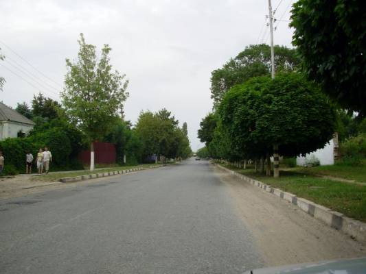 �� ������ ������