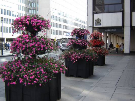 � �������