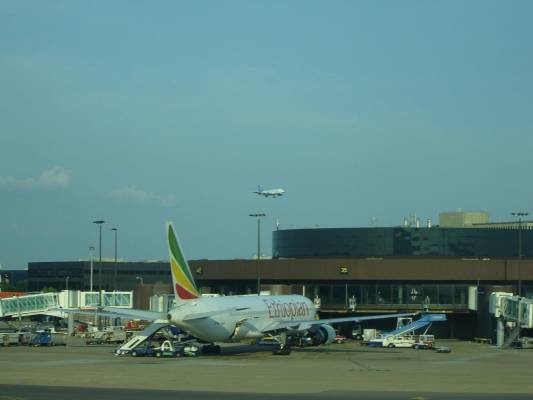 ������, ��������3