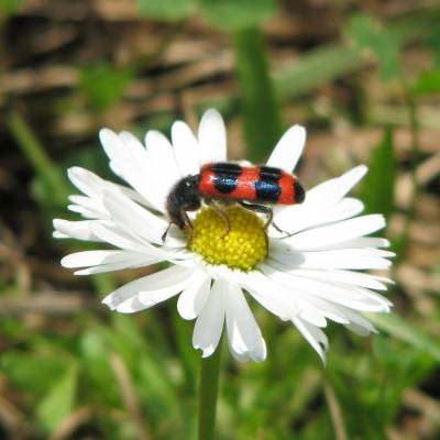 ��������� � ��������