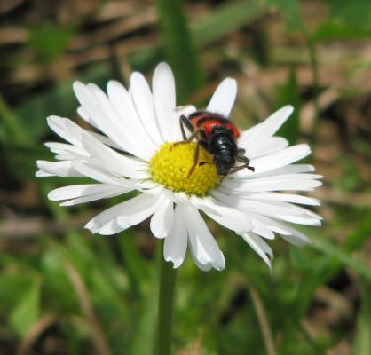 ��������� � �������� 2