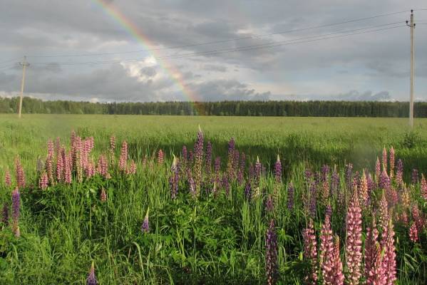 ������ � ����������� 