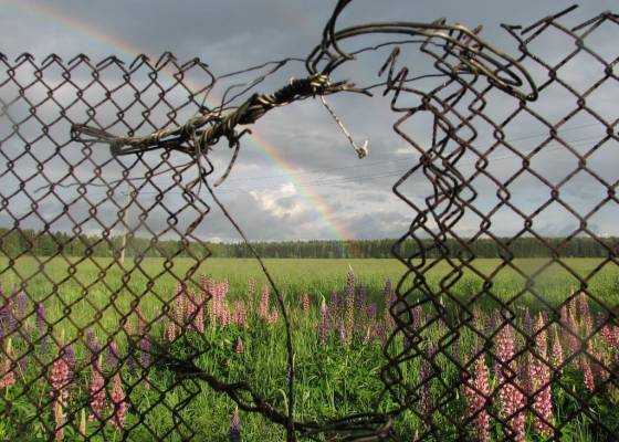 ������ 3