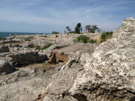 �������� ���