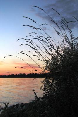 ������ �����