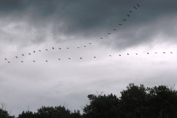 �������� ������� ������ � �����.