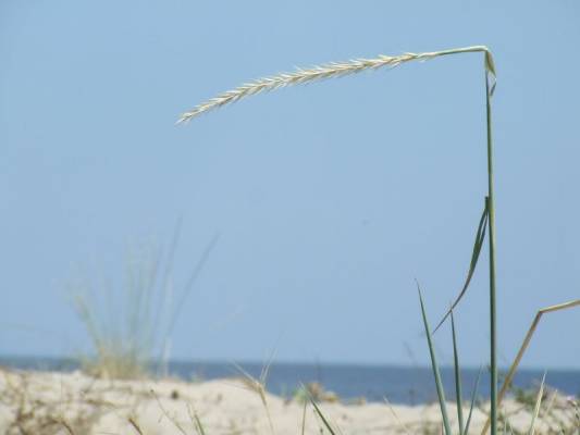 �� ���� ����������� ��� ���������� ���