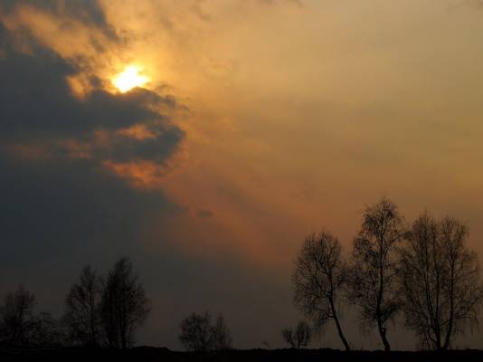 ���� ��������� ���