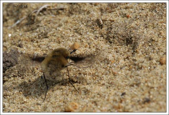 �� �����!