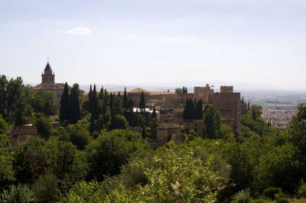 �������: ���������