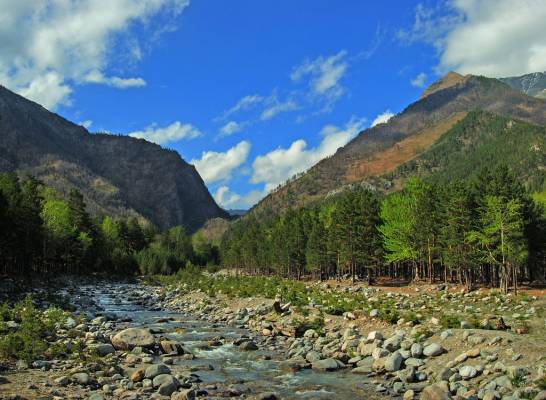 ���� ��������. �����.