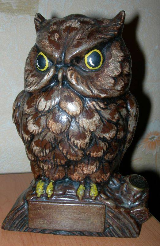 ����� (������), ������