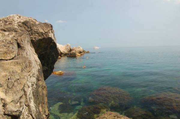 ������, ����� ����