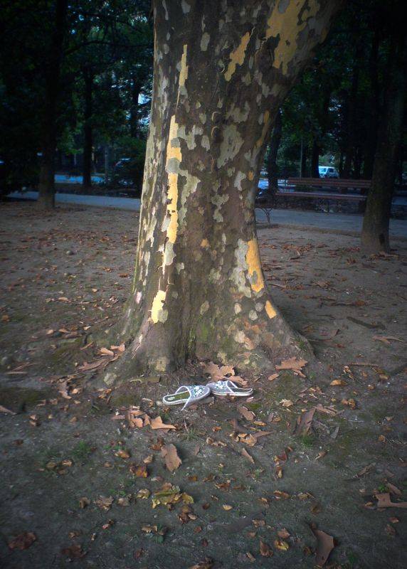 ��� ������� �� ������� ���������