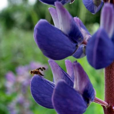 �� �����!