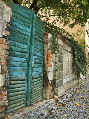 *�������