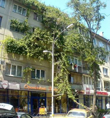 �������� � 5 ������ 