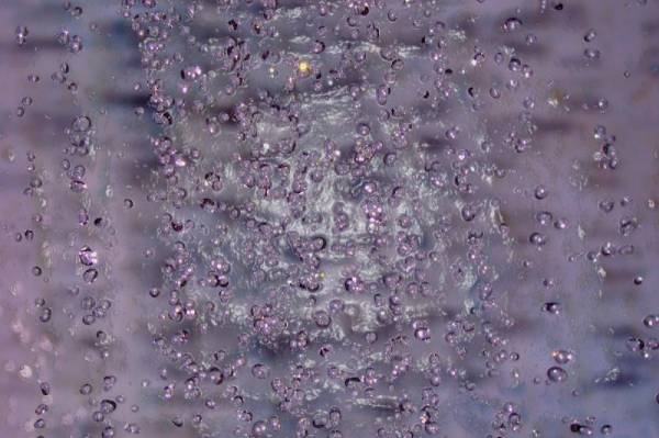 �������������