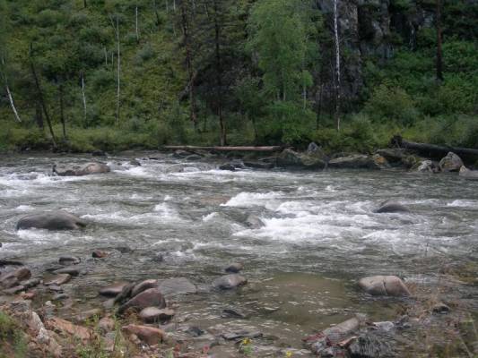 ���� - ��� ������� �����, ������ ����