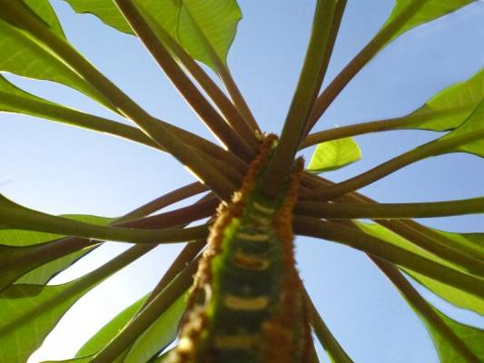 ��������2