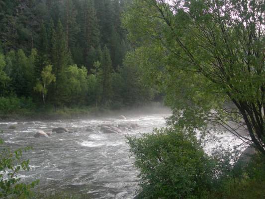 ��� ������