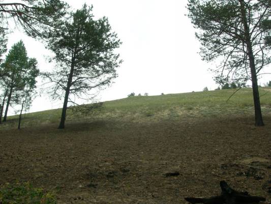 �������� ����