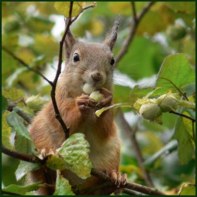 �� �����