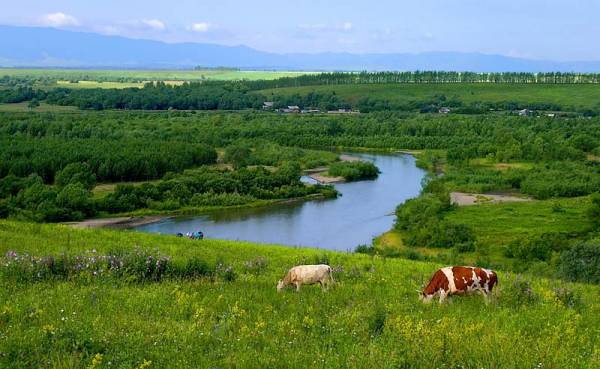 �������������