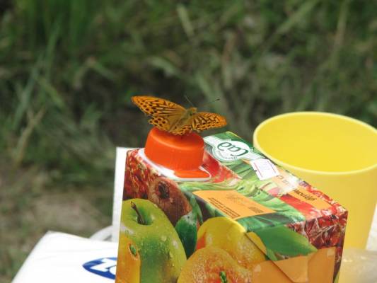 �� ����� ������.....