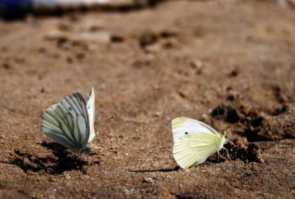 ���������������