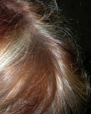 ��� ����