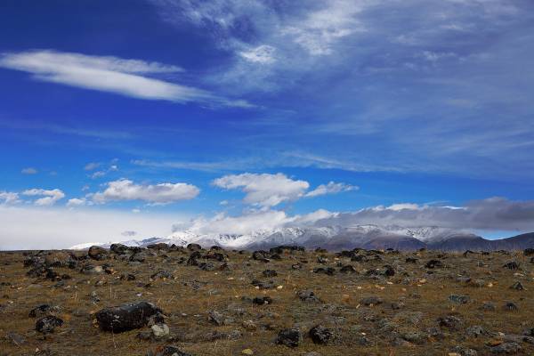 ����� - ��������� ����